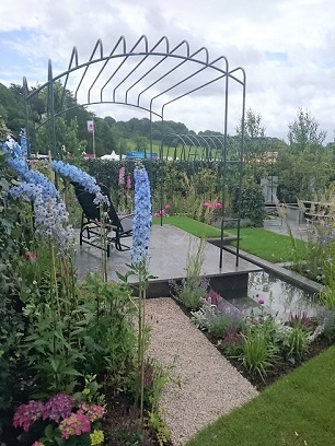 A cluster of purple aliums