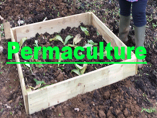 Permaculture