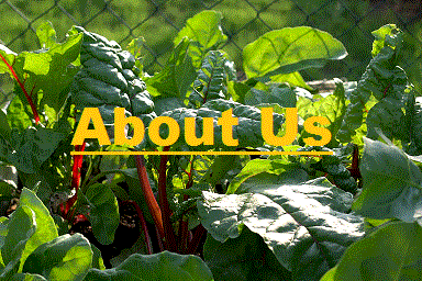 Desborough Allotment About Us