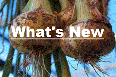 Desborough Allotment Whats New